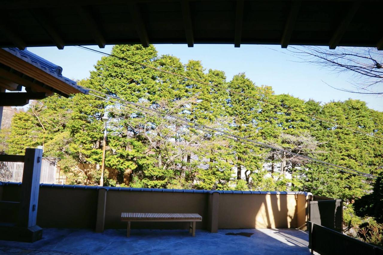 Forest Gora Onsen Hakone Kültér fotó